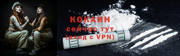 сатива Осинники