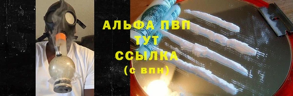 сатива Осинники