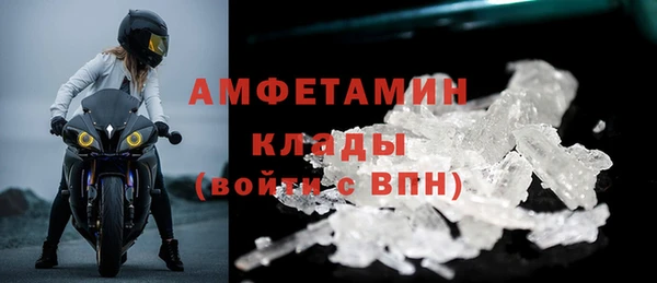 сатива Осинники