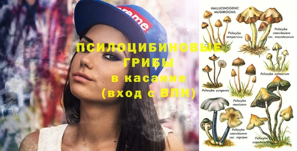 мет Осташков