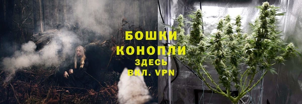 мет Осташков