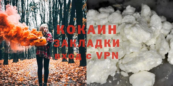 сатива Осинники
