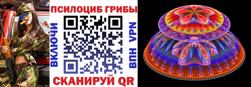Галлюциногенные грибы Psilocybe  Кадников 