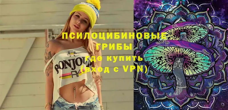 Псилоцибиновые грибы Magic Shrooms  Кадников 